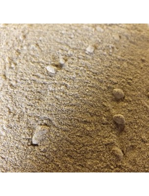Image de Fenugrec Bio - Graines Poudre 100g - Tisane Trigonella foenum-graecum L. depuis Les plantes au service du bon cholestérol