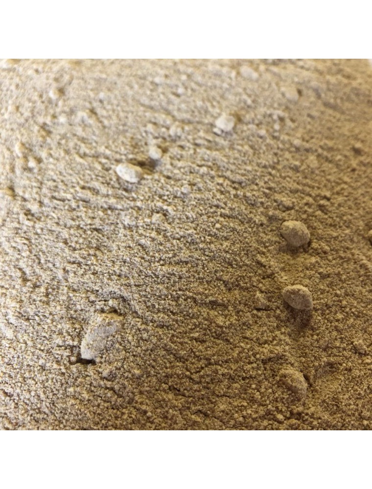 Image principale de la modale pour Fenugrec Bio - Graines Poudre 100g - Tisane Trigonella foenum-graecum L.