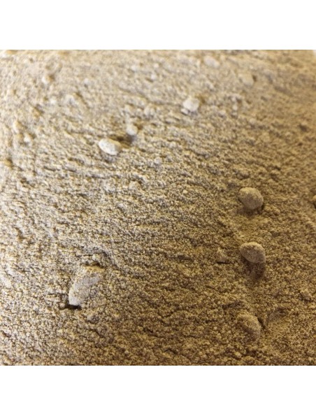 Image principale de Fenugrec Bio - Graines Poudre 100g - Tisane Trigonella foenum-graecum L.