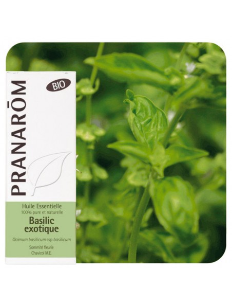 Achetez Basilic Exotique Bio - Huile essentielle d'Ocimum basilicum ct linalol 10 ml - Pranarôm à l'herboristerie Louis Image principale de Basilic Exotique Bio - Huile essentielle d'Ocimum basilicum ct linalol 10 ml - Pranarôm