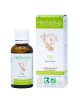 Gui Macérât de jeunes pousses fraîches Sans Alcool Bio - Cardio-vasculaire et Circulation 30 ml - Herbiolys