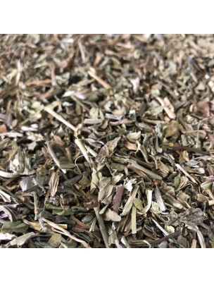 Image de Plantain rond - Feuille coupée 100g - Tisane de Plantago major depuis PrestaBlog