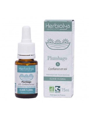 Image de Plumbago Cerato n°5 - Confiance en soi Bio aux fleurs de Bach 15 ml - Herbiolys depuis Gamme d'élixirs floraux pour pallier contre l'incertitude