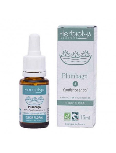 Plumbago Cerato n°5 - Confiance en soi Bio aux fleurs de Bach 15 ml - Herbiolys Plumbago Cerato n°5 - Confiance en soi Bio aux fleurs de Bach 15 ml - Herbiolys