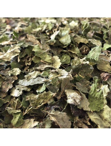 Mélisse Bio - Feuilles coupées 100g - Tisane Melissa officinalis L. Mélisse Bio - Feuilles coupées 100g - Tisane Melissa officinalis L.