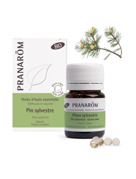 Image principale de Pin sylvestre Bio - Perles d'huiles essentielles - Pranarôm