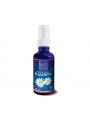 Image de Daisy Bio - Oily macerate of Bellis Perennis 50 ml - (French) Herbes et Traditions via Buy Argan Organic - Argania Spinosa Plant Oil 50 ml - Herbs and