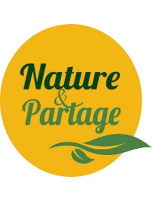 Eponge Konjac Naturelle - Nature et Partage