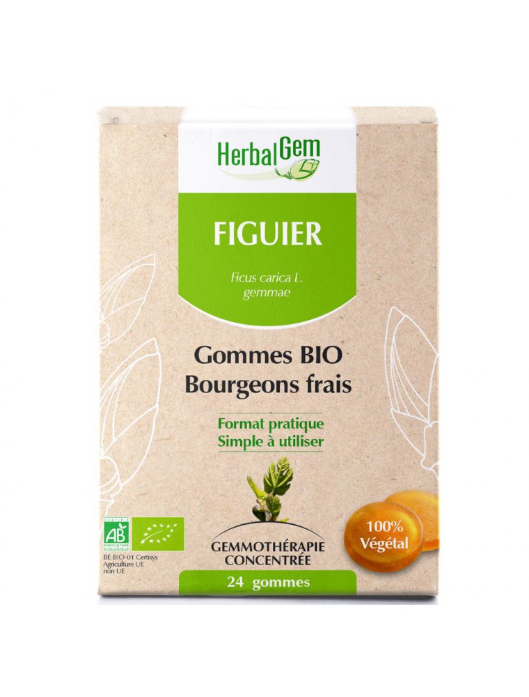 Figuier bourgeons gommes Bio - Stress et Digestion 24 gommes - Herbalgem Figuier bourgeons gommes Bio - Stress et Digestion 24 gommes - Herbalgem