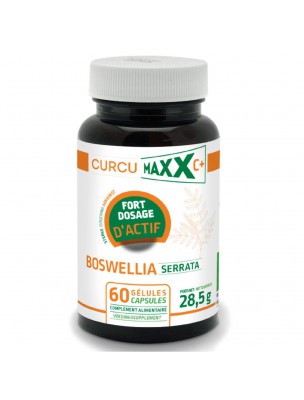 Boswellia serrata Bio - Articulations 60 gélules - Curcumaxx