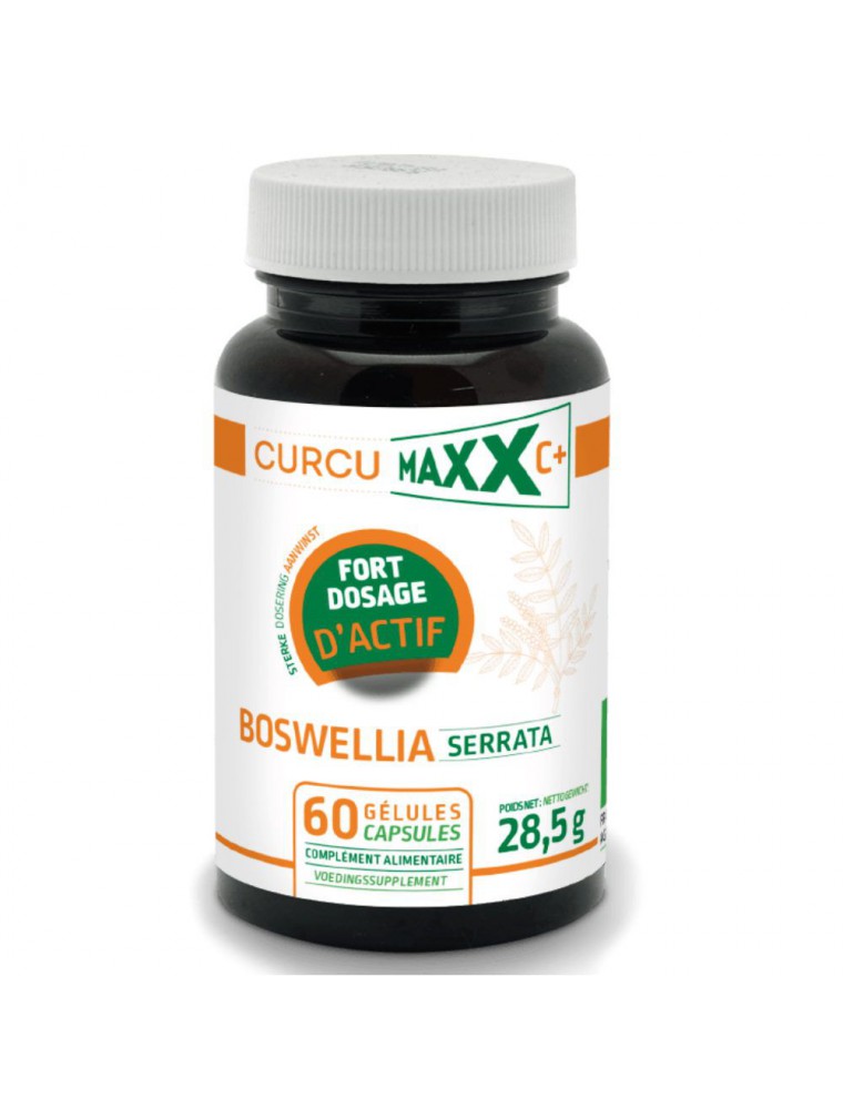 Boswellia serrata Bio - Articulations 60 gélules - Curcumaxx Boswellia serrata Bio - Articulations 60 gélules - Curcumaxx