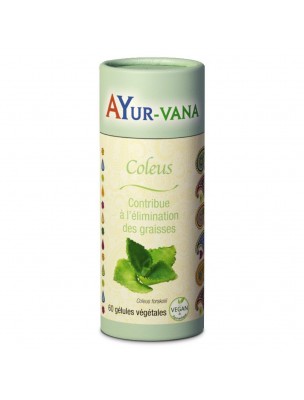 Image de Coleus - Metabolism 60 capsules - Ayur-Vana depuis Buy the products Ayur-vana at the herbalist's shop Louis
