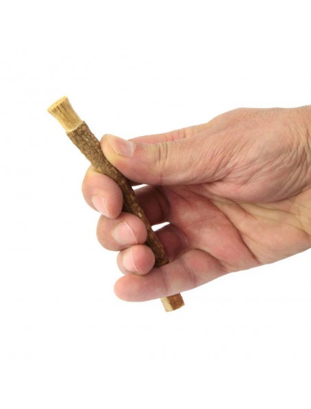 Siwak naturel - Brosse à dent végétale - Nature et Partage