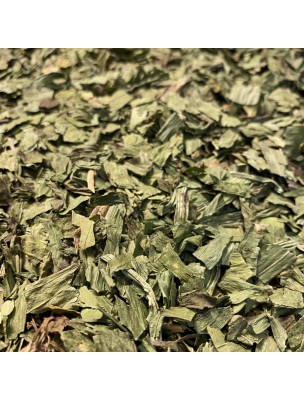 Image de Plantain lancéolé - Feuille coupée 100g - Tisane de Plantago lanceolata depuis PrestaBlog