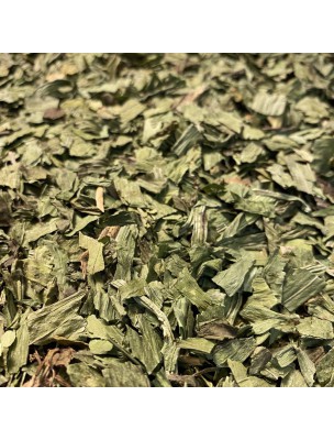 Image de Plantain lancéolé - Feuille coupée 100g - Tisane de Plantago lanceolata depuis ▷ Meilleures ventes de plantes médicinales à l'herboristerie