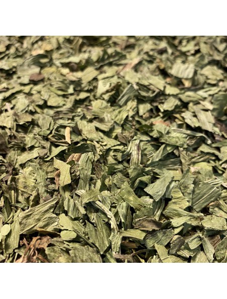 Plantain lancéolé - Feuille coupée 100g - Tisane de Plantago lanceolata