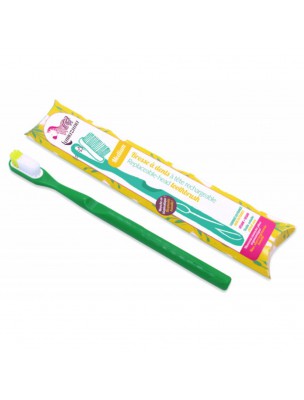 Image de Refillable Toothbrush - Green Medium - Lamazuna depuis Toothbrushes and refills to reduce waste