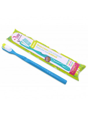 Image de Refillable Toothbrush - Blue Medium - Lamazuna depuis Buy the products Lamazuna at the herbalist's shop Louis