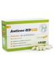 Anticox HD ultra - Articulations des chiens et chats 50 gélules - AniBio