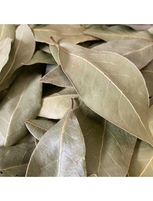 Image de Laurel Bio - Whole leaves 50g - Herbal tea from Laurus nobilis L. via Neem - Cut Leaves 100g - Azadirachta Herbal Tea