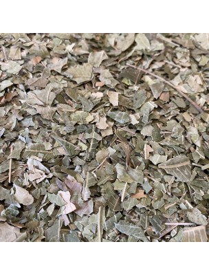 Image de Neem - Cut leaves 100g - Azadirachta indica Herbal Tea depuis Range of products and accessories for peaceful living