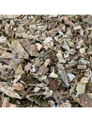 Image de Pulmonaire Bio - Feuilles coupées 100g - Tisane de Pulmonaria officinalis L. via Mouron des Oiseaux Bio - Tisane de Stellaria media L.