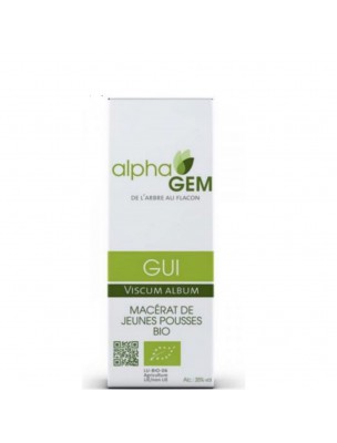 Image de Gui Macérat de jeunes pousses Bio - Viscum album 15 ml - Alphagem depuis Commandez les produits AlphaGEM à l'herboristerie Louis