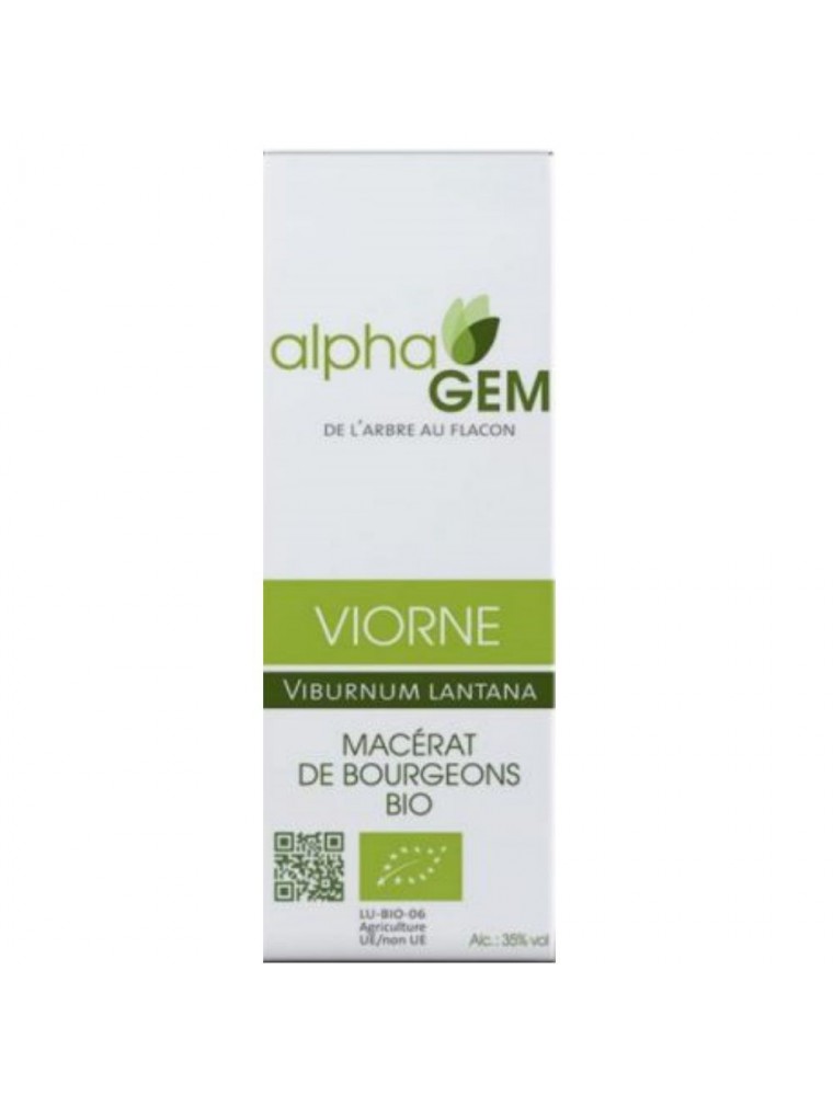 Image principale de la modale pour Viorne Macérat de bourgeons Bio - Viburnum lantana 50 ml - Alphagem