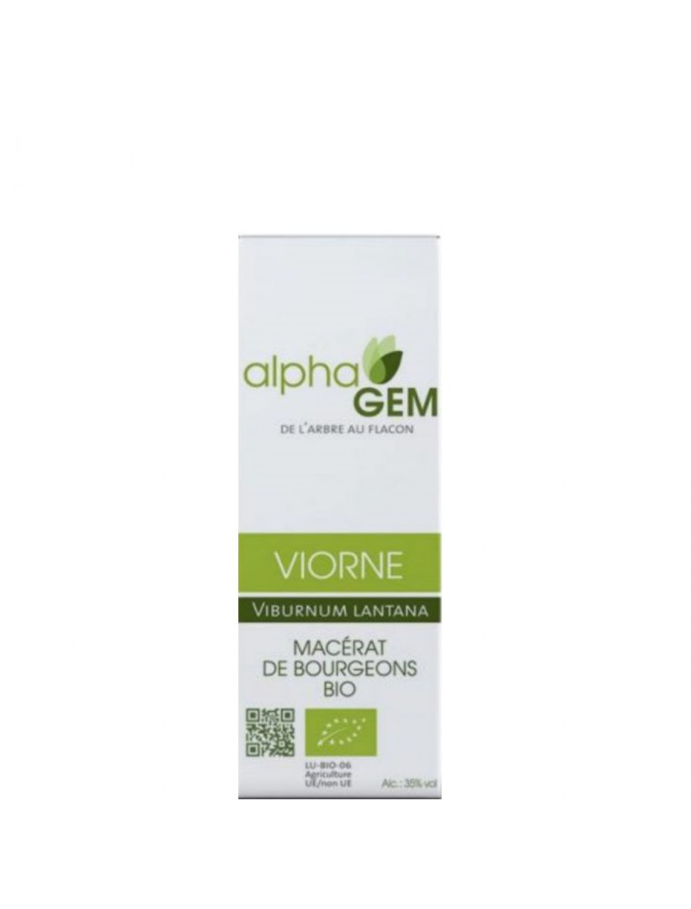 Image principale de la modale pour Viorne Macérat de bourgeons Bio - Viburnum lantana 15 ml - Alphagem