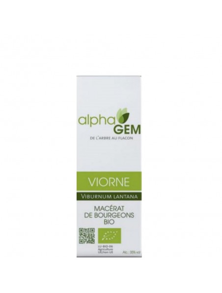 Image principale de Viorne Macérat de bourgeons Bio - Viburnum lantana 15 ml - Alphagem