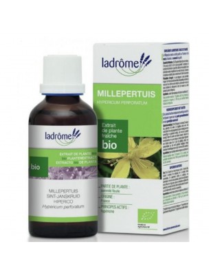 Image de Millepertuis Bio - Déprime et Sommeil Teinture-mère Hypericum perforatum 100 ml - Ladrôme depuis Résultats de recherche pour "Sirop pour la r"