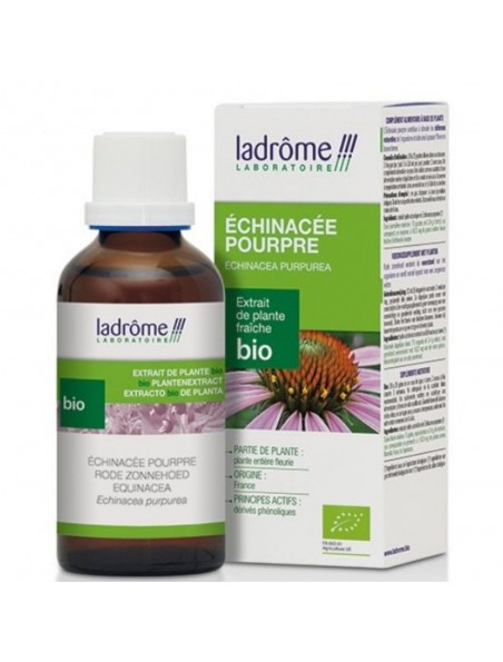 Échinacée pourpre Bio - Immunités Teinture-mère Echinacea purpurea 50 ml - Ladrôme