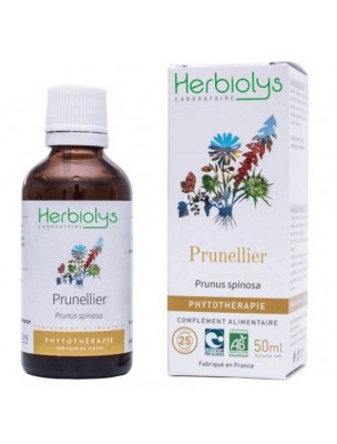 Image de Prunellier Bio - Transit et Vitamine C Teinture-mère Prunus spinosa 50 ml - Herbiolys via Bourdaine Bio - Tisane Ecorce 100g - Frangule dodonei Ard.