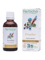 Image de Prunellier Bio - Transit et Vitamine C Teinture-mère Prunus spinosa 50 ml - Herbiolys depuis ▷▷ Teintures mères de plantes commençant par la lettre P (2)