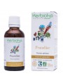 Image de Blackthorn organic - Transit and Vitamin C mother tincture Prunus spinosa 50 ml Herbiolys via Buy Acacia Fiber Organic - SuperFoods Fiber 200g -