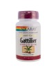 Gattilier 225 mg - Troubles féminins 60 gélules - Solaray