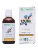 Aubépine Bio - Stress et Coeur Teinture-mère Crataegus monogyna 50 ml - Herbiolys