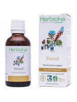 Image de Fenouil Bio - Ballonnements et Ventre plat Teinture-mère Foeniculum vulgare 50 ml - Herbiolys depuis ▷▷ Teintures mères de plantes commençant par la lettre F