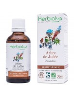 Image de Arbre de Judée Macérât de bourgeon Bio - Circulation 50 ml - Herbiolys depuis Bourgeons de gemmothérapie unitaires, en complexes, en gommes ou sans alcool.