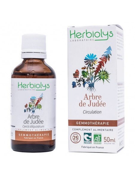 Arbre de Judée Macérât de bourgeon Bio - Circulation 50 ml - Herbiolys