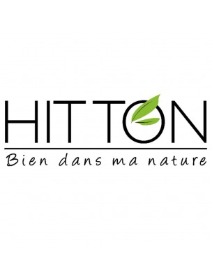 Shampooing Douche au Lait d'ânesse Bio - Tonique et Epicé 100 grammes - Hitton