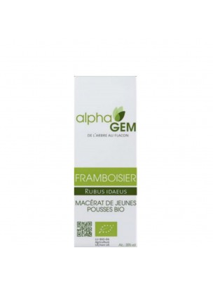 Image de Framboisier Macérat de jeunes pousses Bio - Rubus ideaus 15 ml - Alphagem depuis louis-herboristerie