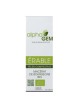 Erable Macérat de bourgeons Bio - Acer campestris 50 ml - Alphagem
