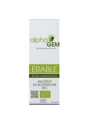 Image de Erable Macérat de bourgeons Bio - Acer campestris 50 ml - Alphagem depuis Achetez les produits AlphaGEM à l'herboristerie Louis (2)