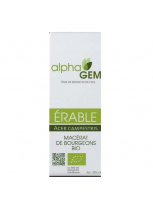 Image de Erable Macérat de bourgeons Bio - Acer campestris 50 ml - Alphagem depuis Achetez les produits AlphaGEM à l'herboristerie Louis