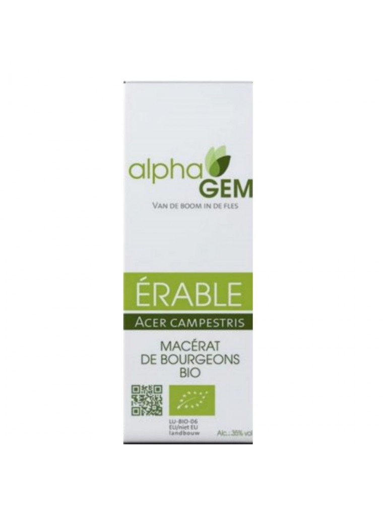 Erable Macérat de bourgeons Bio Alphagem - 50 ml