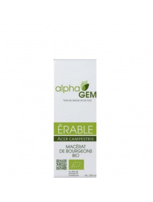 Image de Erable Macérat de bourgeons Bio - Acer campestris 15 ml - Alphagem depuis Achetez les produits AlphaGEM à l'herboristerie Louis (2)