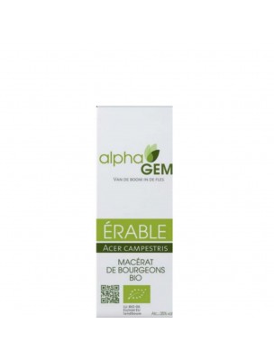 Image de Erable Macérat de bourgeons Bio - Acer campestris 15 ml - Alphagem depuis louis-herboristerie