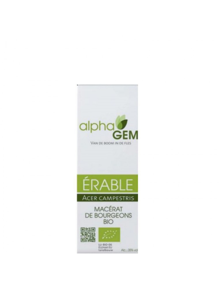 Image principale de la modale pour Erable Macérat de bourgeons Bio - Acer campestris 15 ml - Alphagem