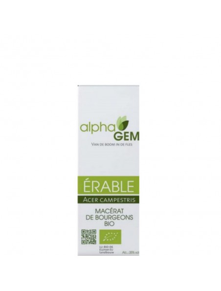 Achetez Erable Macérat de bourgeons Bio - Acer campestris 15 ml - Alphagem à l'herboristerie Louis Image principale de Erable Macérat de bourgeons Bio - Acer campestris 15 ml - Alphagem
